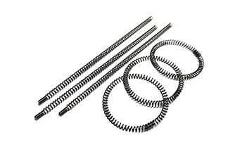 Oil Seal Spring
