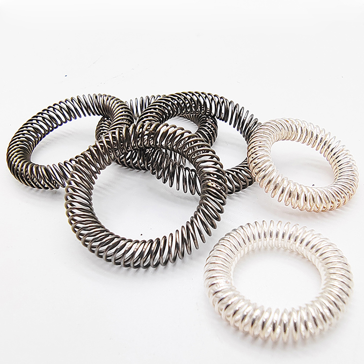 Oil Seal Spring