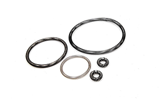 Garter Oil Seal Spring