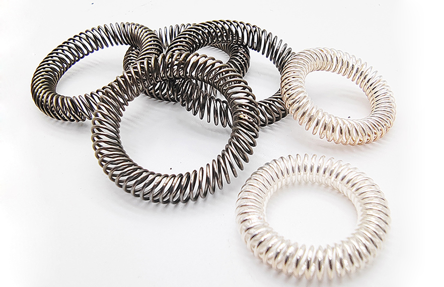 Garter Oil Seal Spring